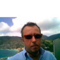 Domenico Spingardi