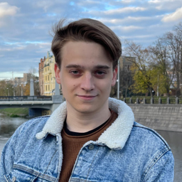 Lev Holikov's profile picture