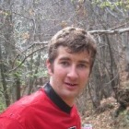 Fabian Wyer