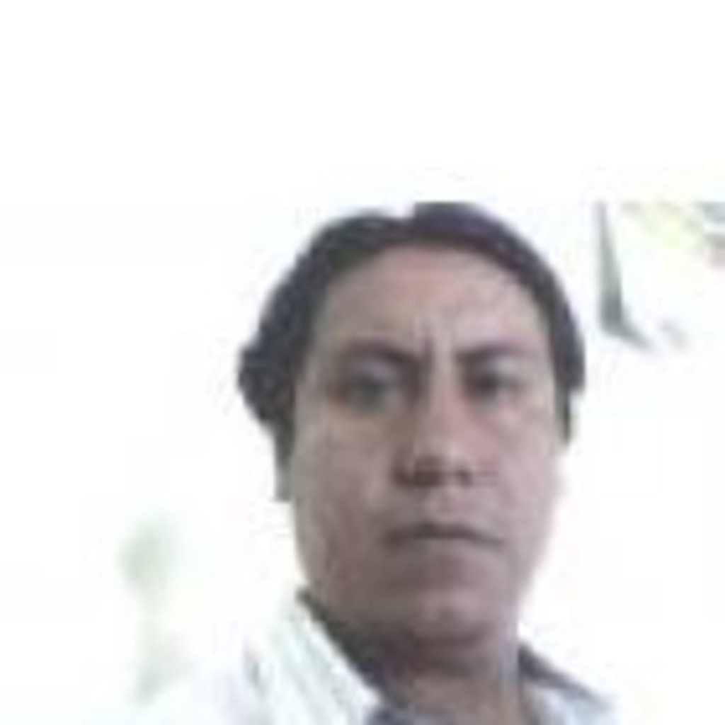 Ramon Hernandez Hernandez Gestor de Proyectos Productivos (PYMES