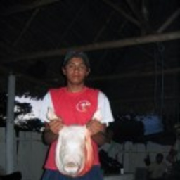 CHRISTIAN MEZA