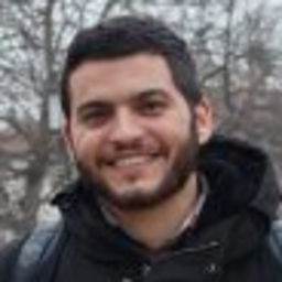 Mohamed Amer