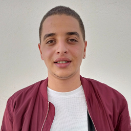 Mehrez Rouissi