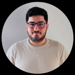 Alaa Hashem's profile picture