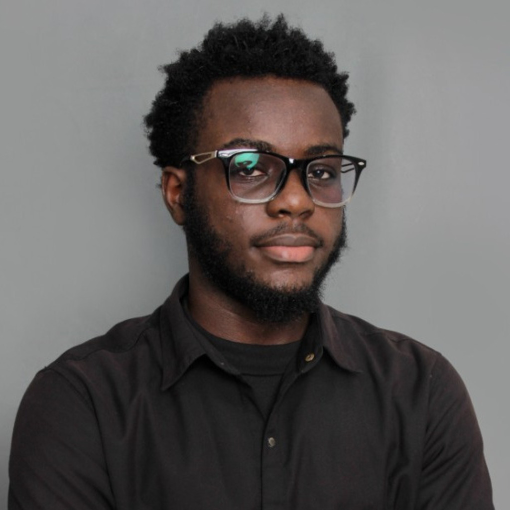 Olang daniel software developer fmdq xing