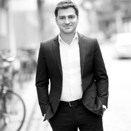 Ingo Braatz's profile picture