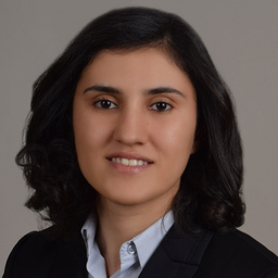 Tugce Uzun FRM
