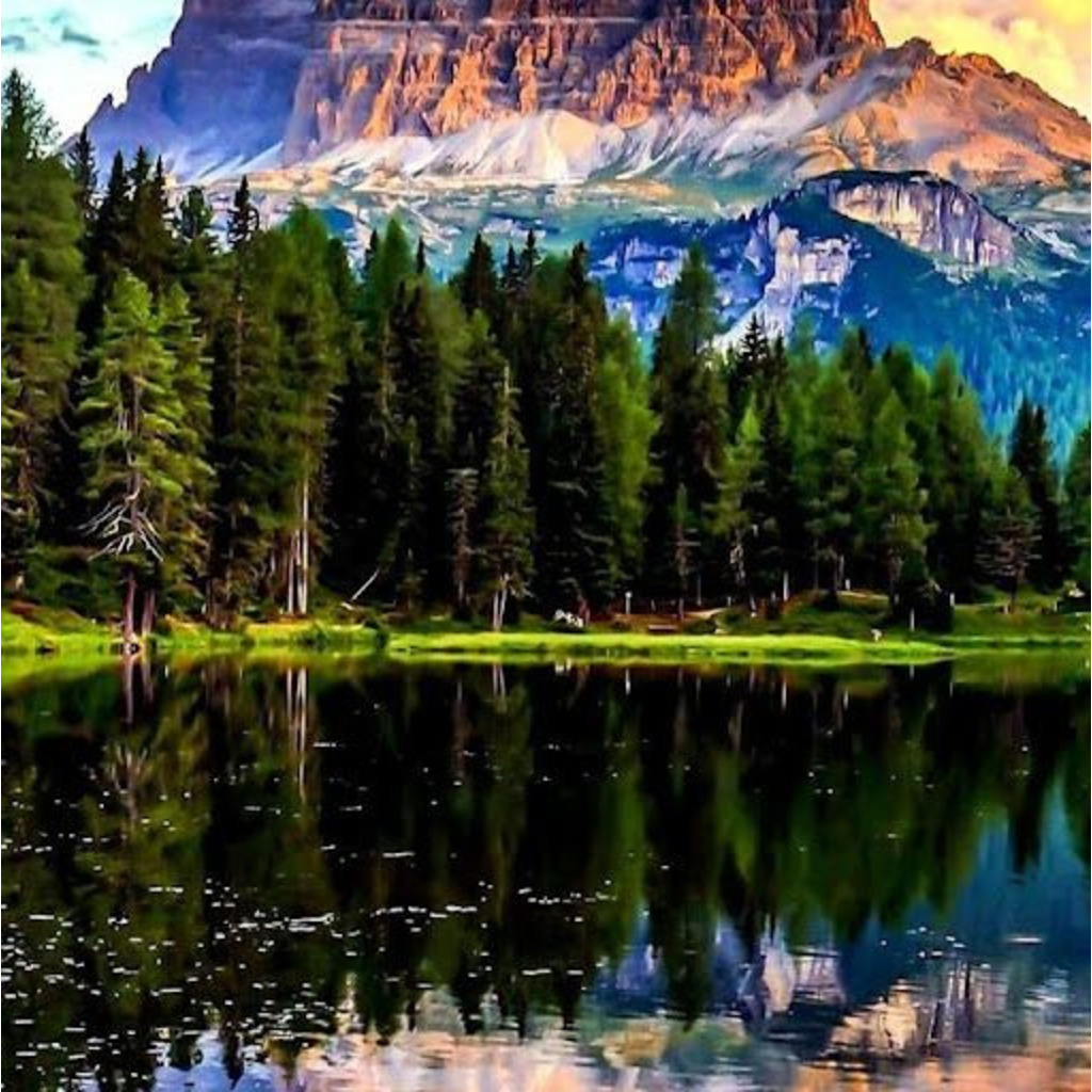 Daniel Rudin - Bodenleger - Tapisa | XING