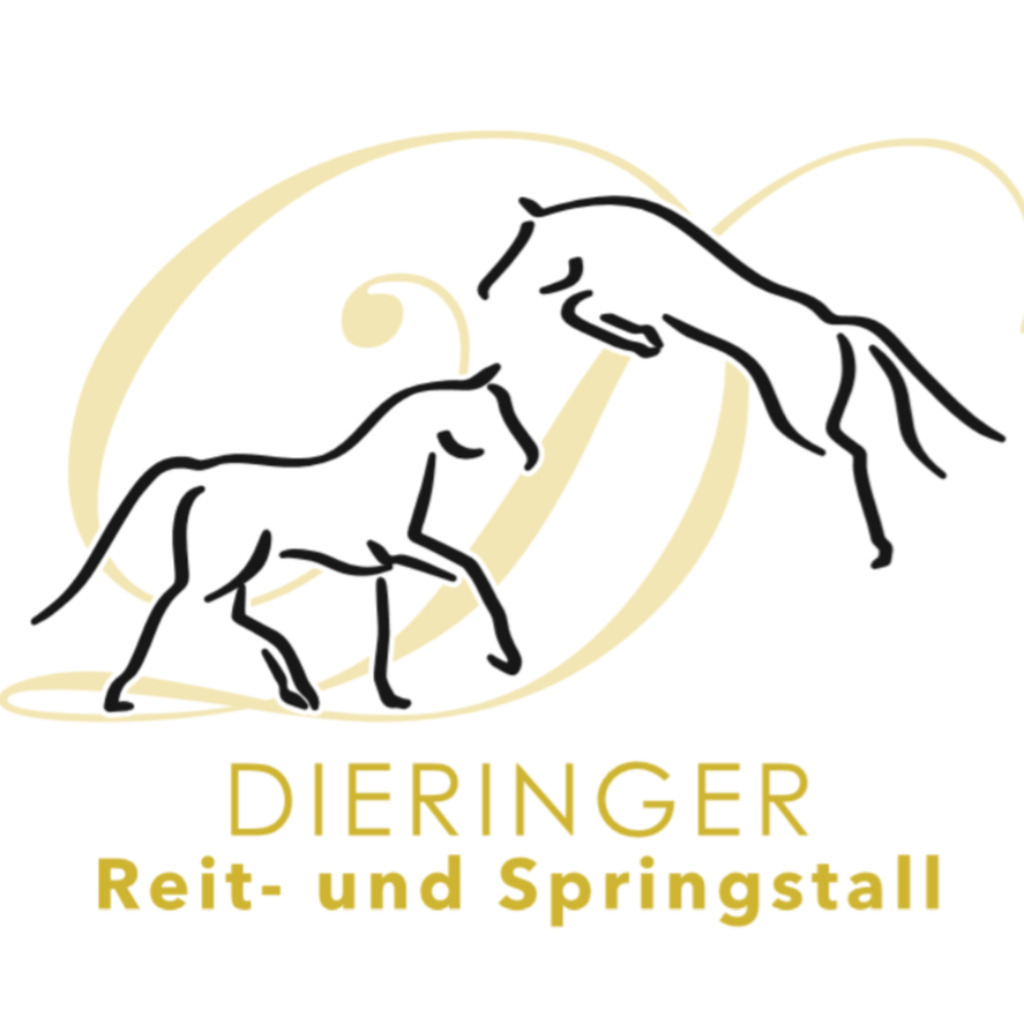 Social Media Profilbild Werner Dieringer 