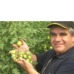 Martin Santacruz Gàmez Santacruz Gàmez