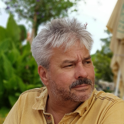 Rainer Schurr