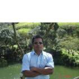 Luis Cardenas
