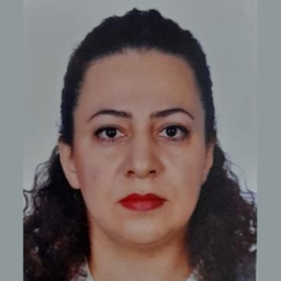 Sepideh Sobhi
