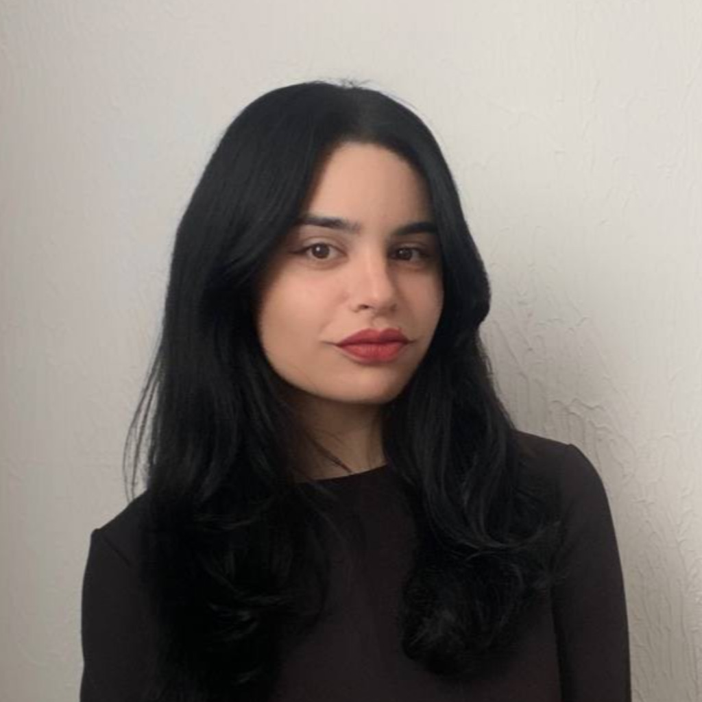 Seda Kirakosyan Senior UX/UI Designer Soft Construct XING