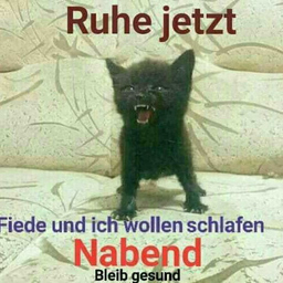 silke lang