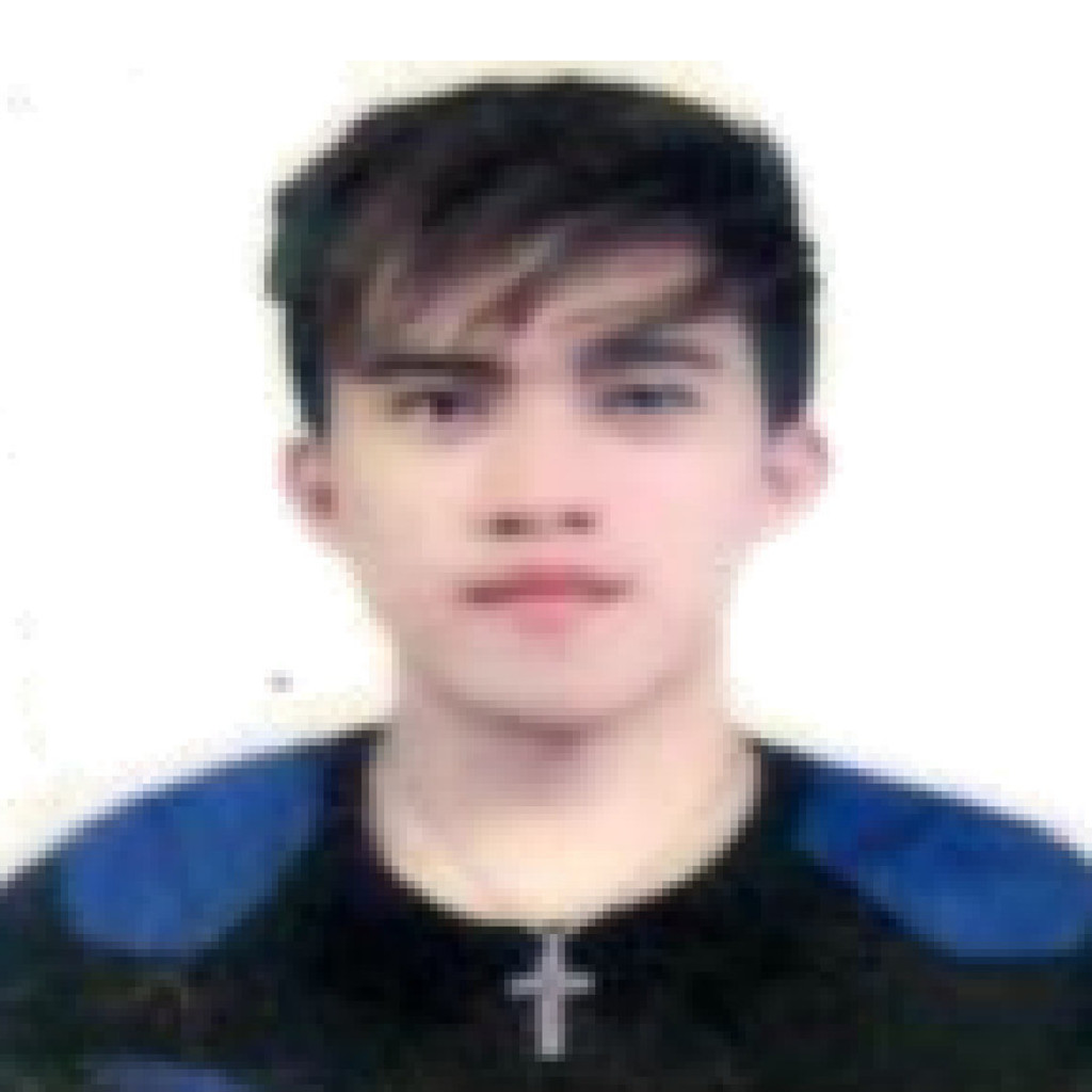 Thomas Jay Alvaro - Virtual Account Assistant - Philippine Long ...