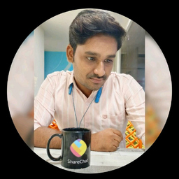Dipl.-Ing. Sridhar  Selvaraj 