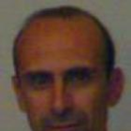 Roberto Minelli