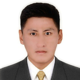Diego Alejandro Vilca Paredes