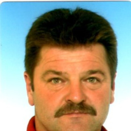 Schmitt Bernhard