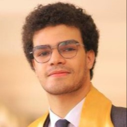 Ziad Ammar