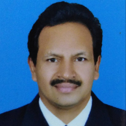 Sreekumar Parameswaran