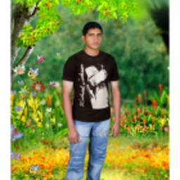 Rajesh Rnambiar