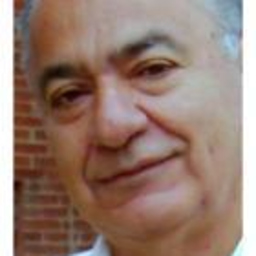 ARMANDO PEREZ LUCUARA