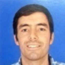 Ivo Silva