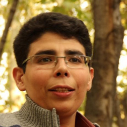 Profilbild Mohammad Changiz