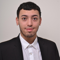 ramzi beldjillali