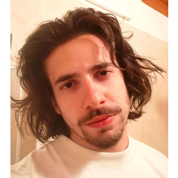Alexis Picareta Giannakopoulos