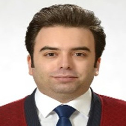 Hamedreza Vafa