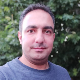 Roozbeh Shameli