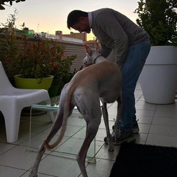 Leo Zito Leo Zito's profile picture