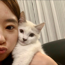 jiayi LI