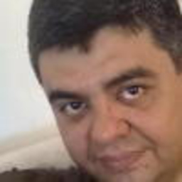 Weverton Castanho's profile picture