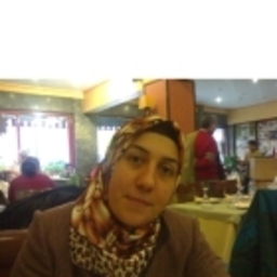 SEVGİ ÖZDEMİR