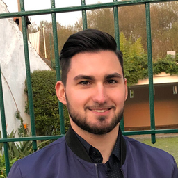 Paulo Martins