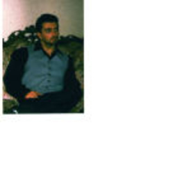 Fulvio Vitiello
