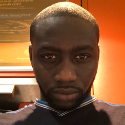 modou touray