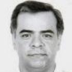 Gustavo Andres Vite Alarcon