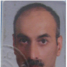 Hakan Yüksel