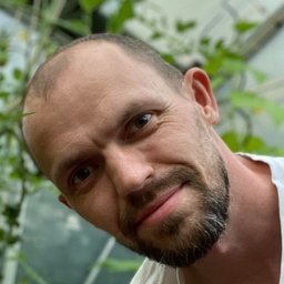 Davis Fröhlich