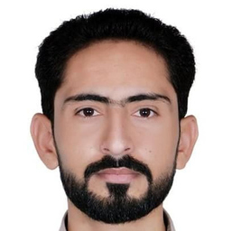Faizan Ul Hassan