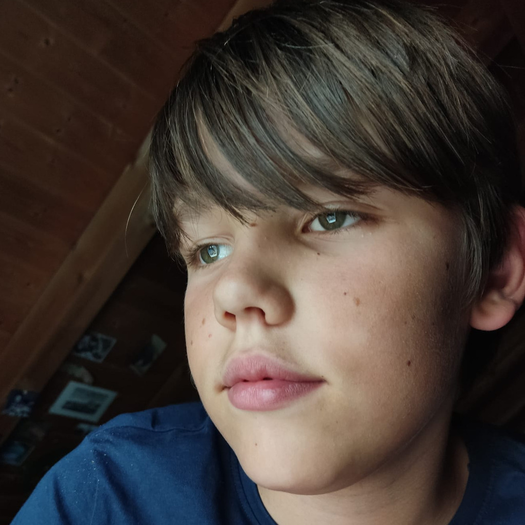 Matteo Stamm Sekundarschule Sekundarschule Friedrich XING