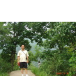 军科 罗