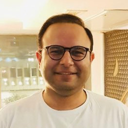 Ali A. Jafari