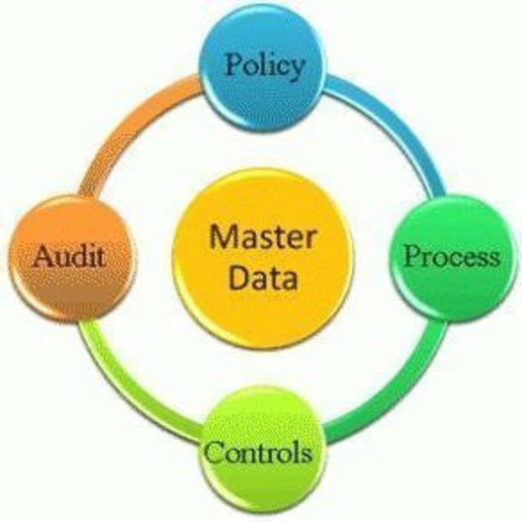 Мастер данные. Master data Management tasks. Actian AUDITMASTER.