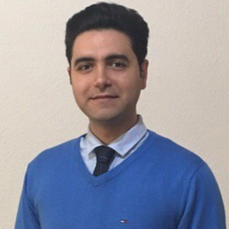 Ing. Amir Pourtehrani